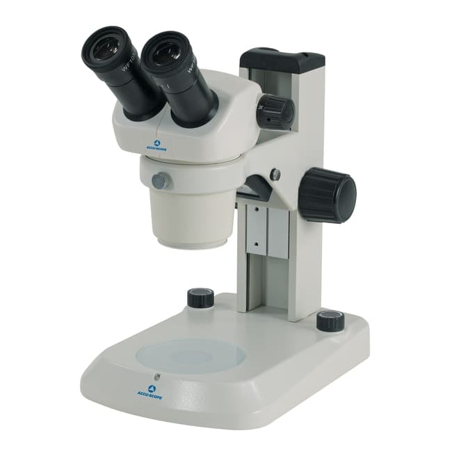 ACCU-SCOPE™ Binocular Stereo Microscope on E-LED Stand