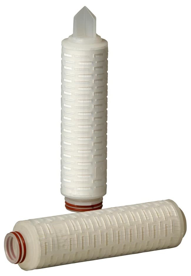 Thermo Scientific™ Betafine™ PPG Series Filter Cartridge, 226/Spear