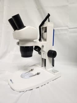 Fisherbrand™ Advanced Fixed Magnification Stereo Microscope