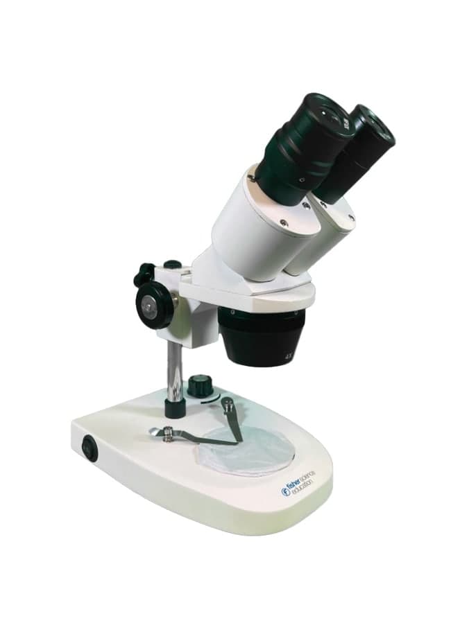 Fisherbrand™ Basic Fixed Magnification Stereo Microscope