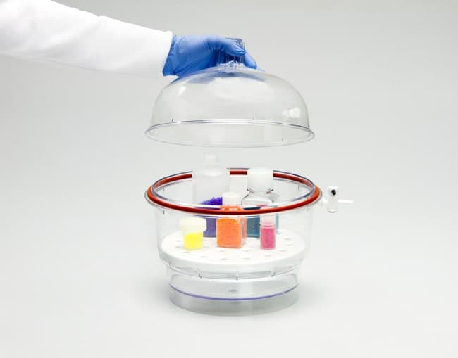 Thermo Scientific Nalgene Transparent Polycarbonate Classic Design Desiccator