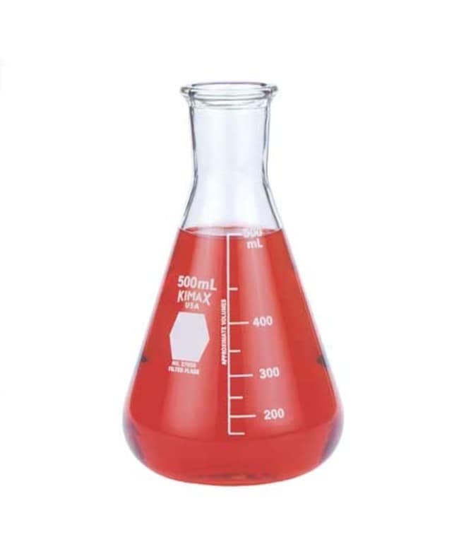 DWK Life Sciences Kimble™ KIMAX™ Brand Filtering Flasks