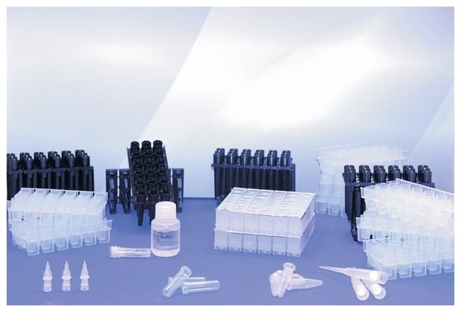 MP Biomedicals™ MPure™ Tissue DNA Extraction Kit