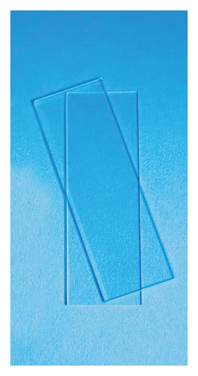 Fisherbrand™ Economy Plain Glass Microscope Slides