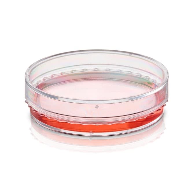 Thermo Scientific™ BioLite™ Cell Culture-Treated Dishes, 35 mm
