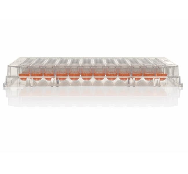 Thermo Scientific Nunc MicroWell 96-Well Microplates 160