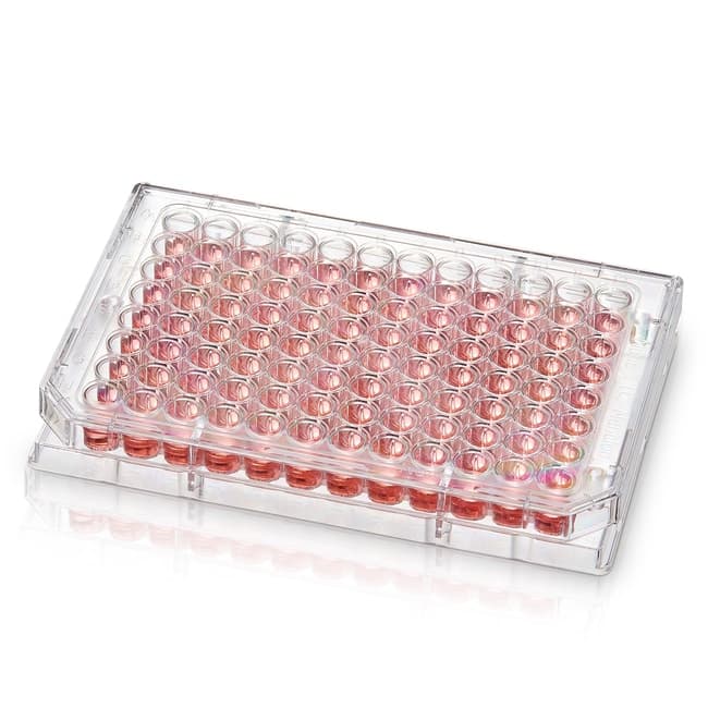 Thermo Scientific Nunc Microwell 96-Well Microplate with Nunclon Supra Surface Nunclon Supra