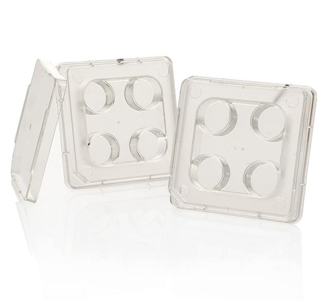 Thermo Scientific™ Nunc™ IVF Multi Dish, 4-Well