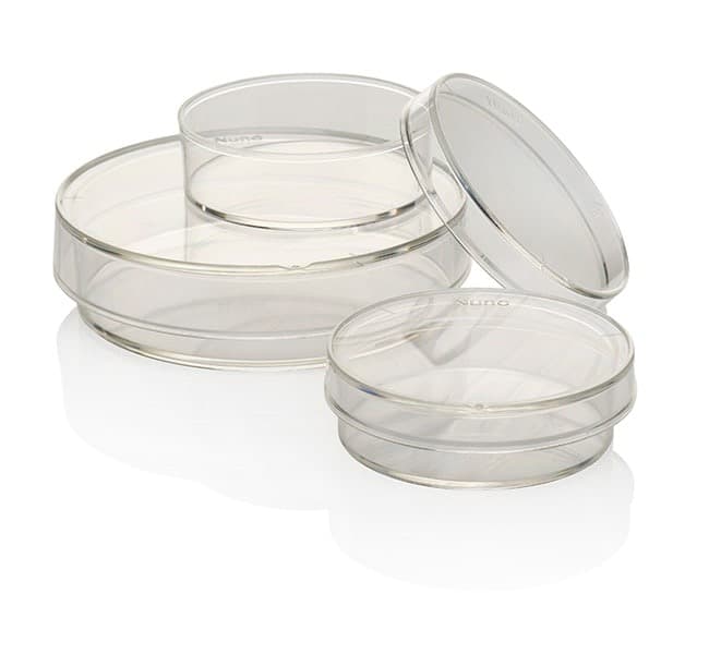 Thermo Scientific™ Nunc™ IVF Dishes