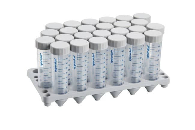 Eppendorf™ Conical Tubes with Screw Cap