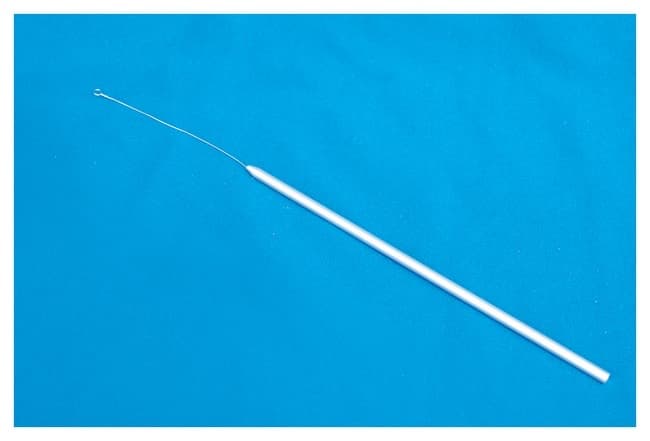 Fisherbrand™ Twisted Nichrome™ Inoculating Loops with Handles