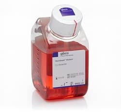 Gibco™ Neurobasal™ Medium