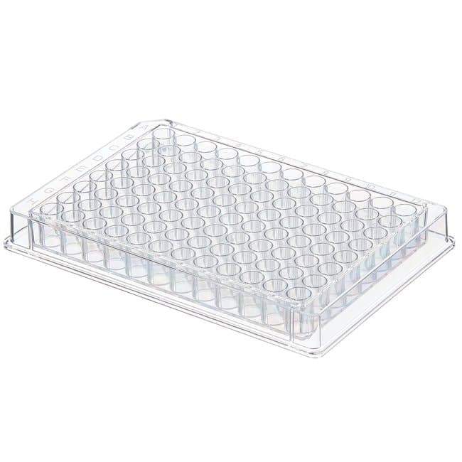 Fisherbrand™ 96-Well Plates
