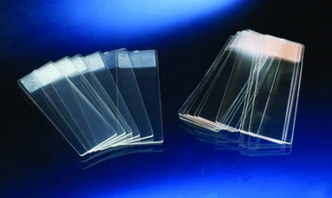 Electron Microscopy Sciences Polystyrene Microscope Slide, Single Pack