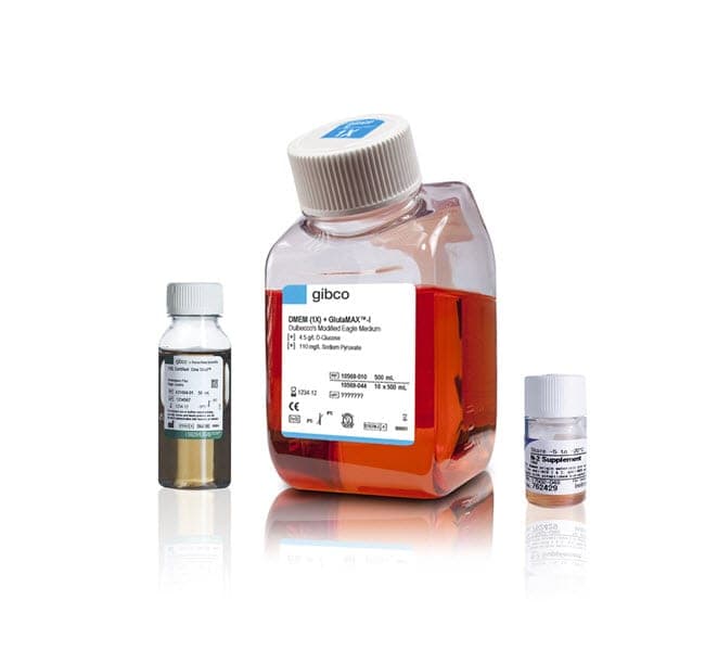 Gibco™ Astrocyte Medium