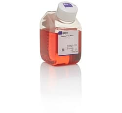 Gibco™ Neurobasal™ Plus Medium