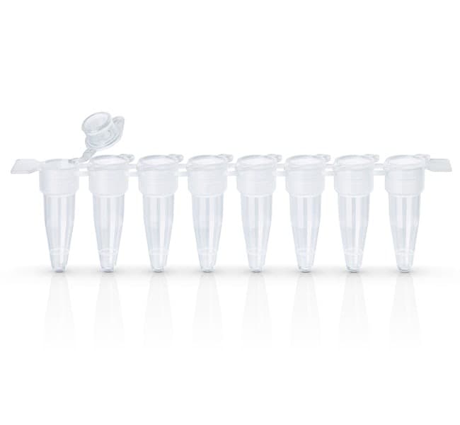 Thermo Scientific™ ABgene™ EasyStrip™ Plus Tube Strip with Attached Flat Caps