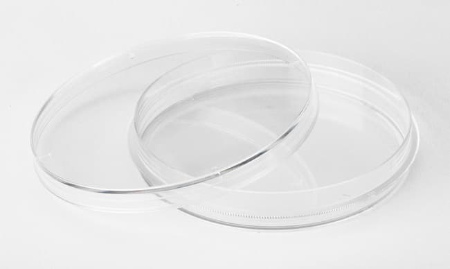 Fisherbrand™ Surface-Treated Tissue Culture Dishes