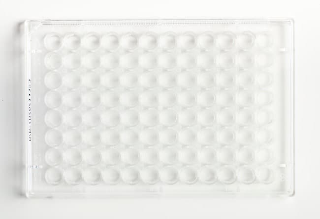 Fisherbrand™ 96-Well, Cell Culture-Treated, Flat-Bottom Microplate