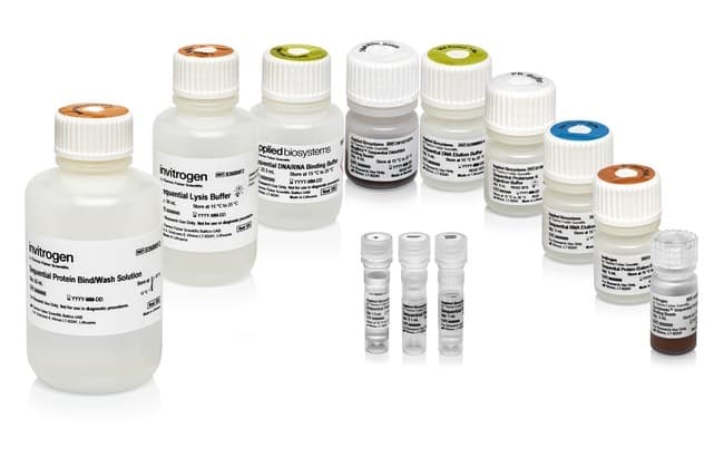 Thermo Scientific™ Sequential Protein/DNA/RNA Extraction Kit