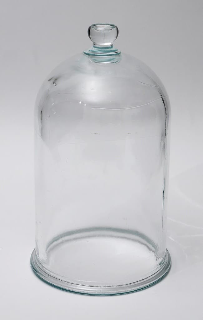 Fischer Technical Company™ Glass Bell Jar with Knob