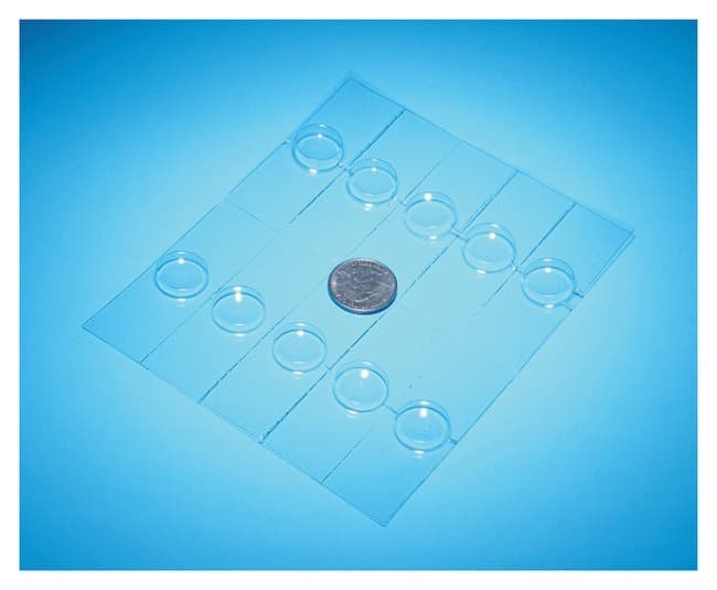 United Scientific™ Plastic Well Slides