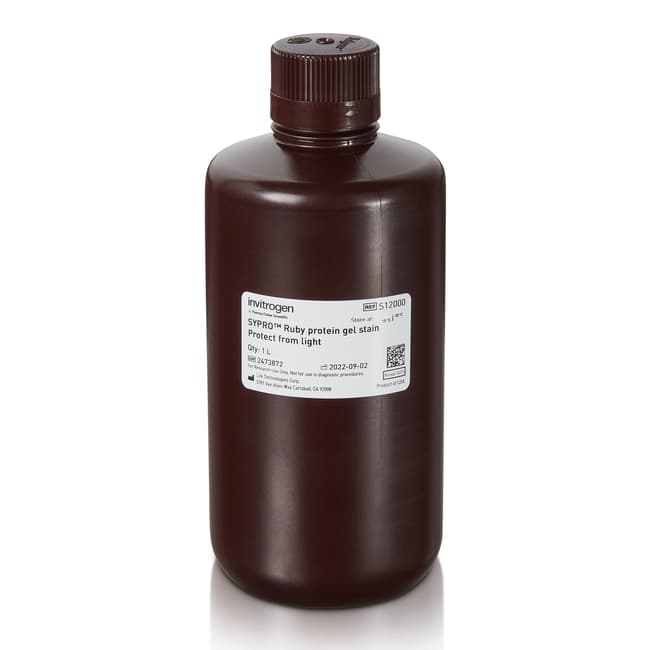 Invitrogen™ SYPRO™ Protein Gel Stains