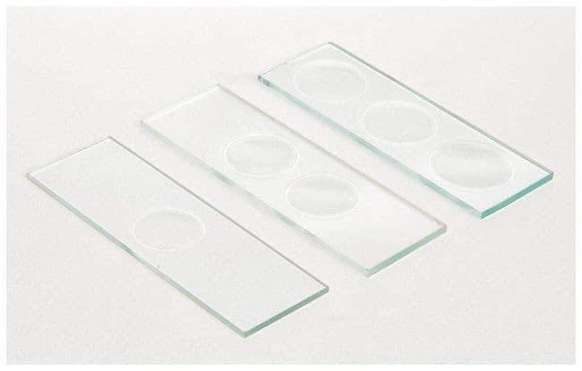 United Scientific™ Glass Concavity Slides, 1.3 mm