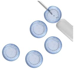 MilliporeSigma™ Chemicon™ Mesenchymal Stem Cell Expansion Medium (1x)