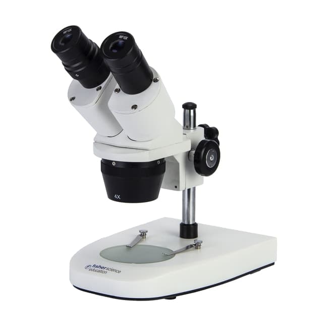 Fisher Science Education™ Middle School Series Stereo Microscope