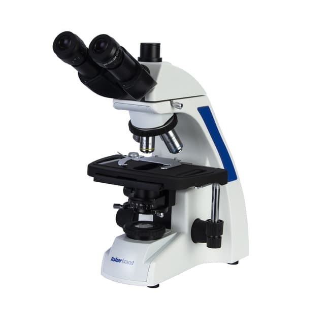 Fisherbrand™ Research Grade Upright Microscope