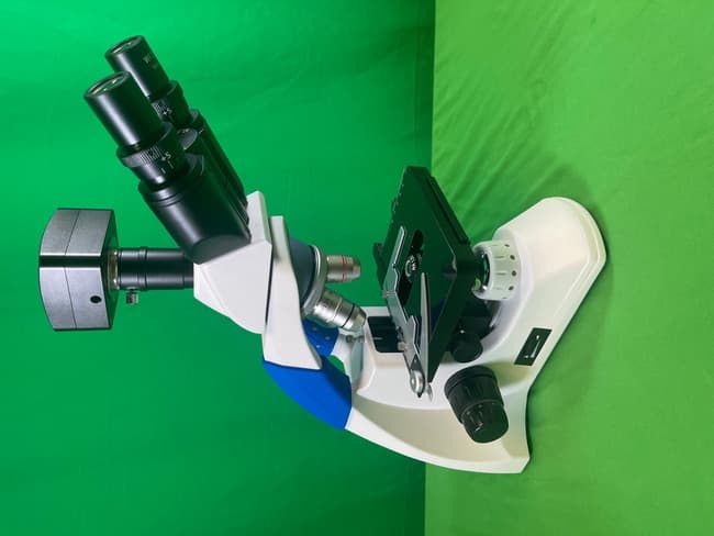 Fisher Science Education™ Compound Upright Digital Microscope with 5MP Color Camera