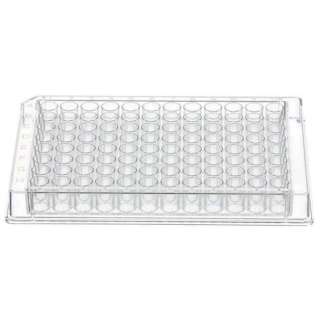 Fisherbrand™ 96-Well Plates